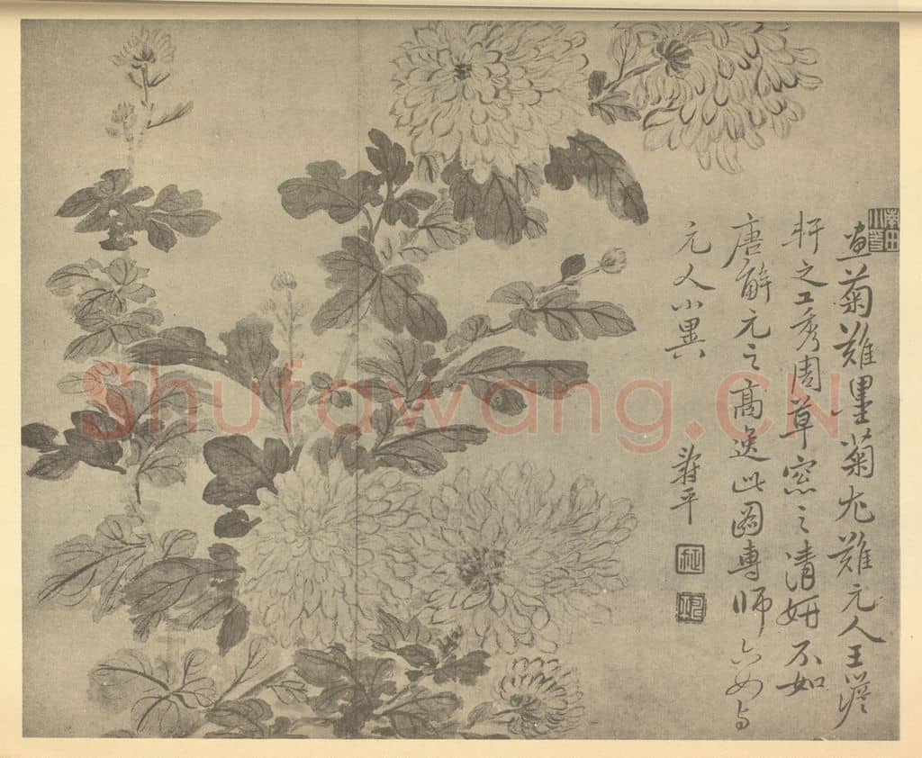 清 恽寿平《菊》国画作品