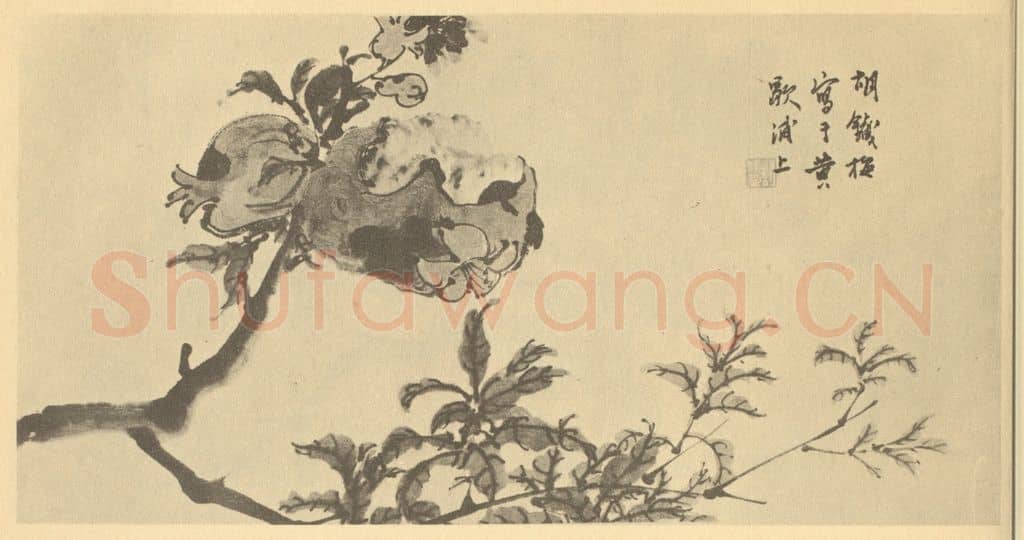 清 胡璋《石榴》国画作品