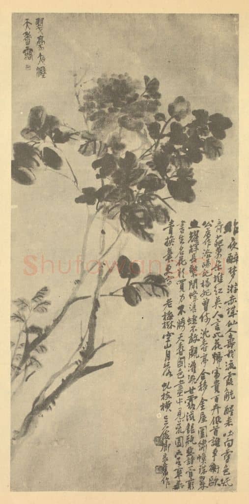 清 吴昌硕《牡丹》国画作品