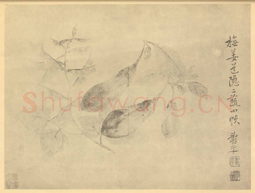 清 恽寿平《二蔬》国画作品