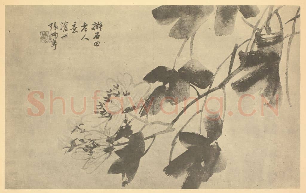 清 张赐宁《芙蓉》国画作品