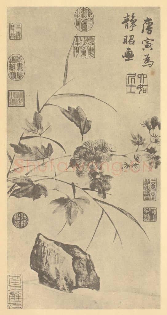 明 唐寅《临水芙蓉图》国画作品
