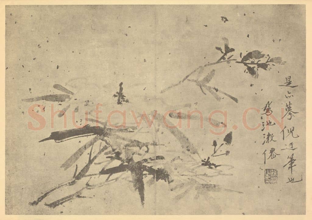 明 徐渭《秋葵》国画作品