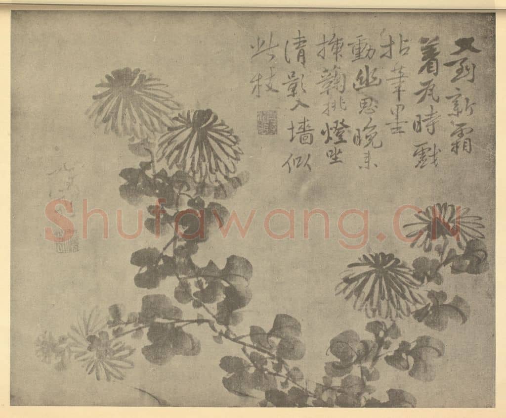 清 边寿民《菊》国画作品