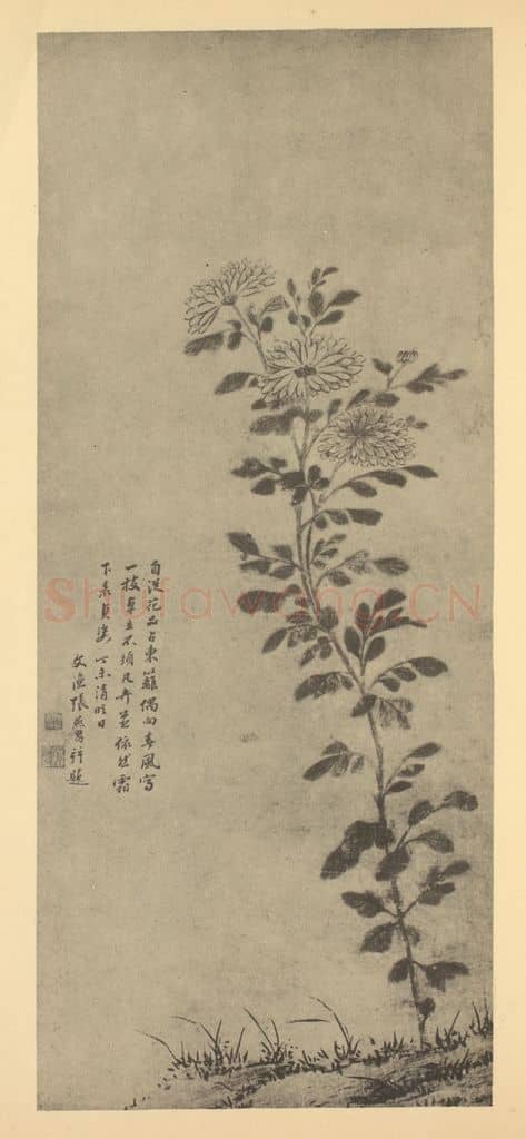 清 张燕昌《菊》国画作品