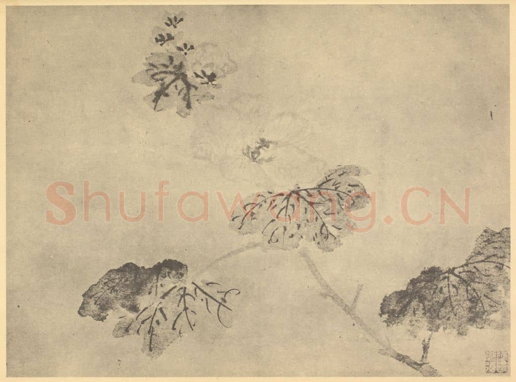 明 陈淳《秋葵》国画作品