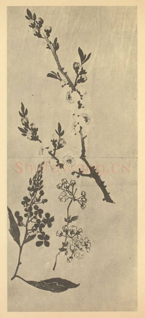 清 黄钺《二十四番华信（三）》国画作品
