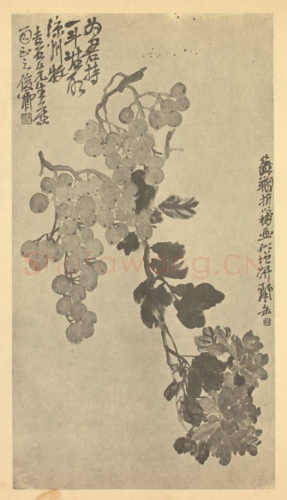 清 吴昌硕《葡萄·菊花》国画作品