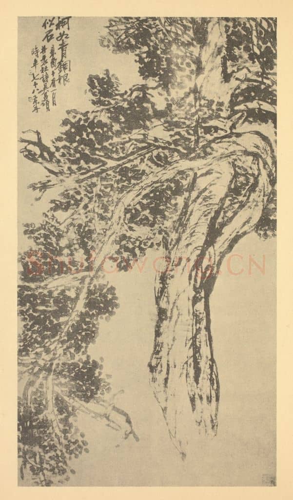 清 吴昌硕《古柏图》国画作品