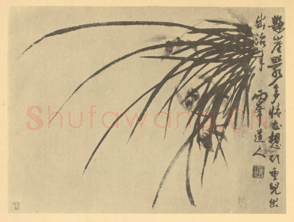 清 罗聘《兰》国画作品