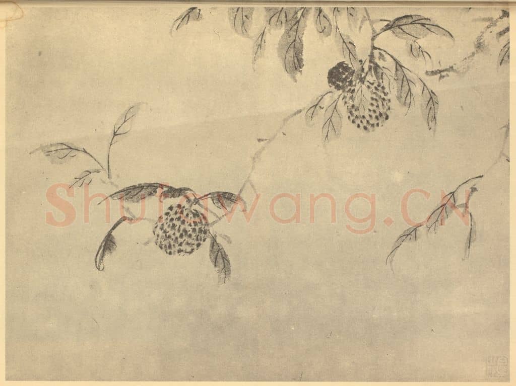 明 陈淳《荔枝》国画作品