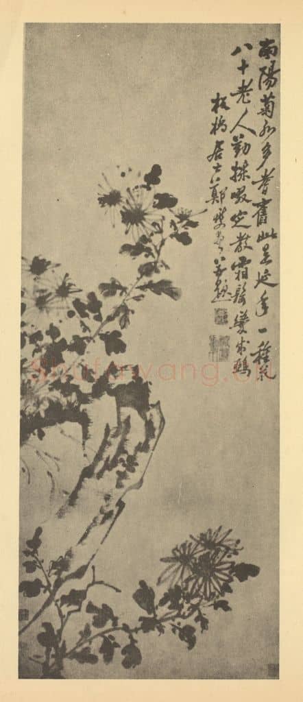 清 郑燮《菊石》国画作品