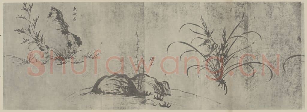 宋 赵孟坚《兰谱卷(三)》国画作品