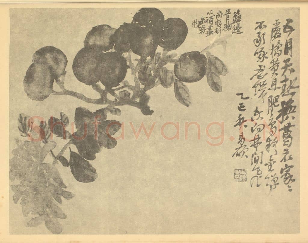 清 吴昌硕《枇杷·菊花》国画作品