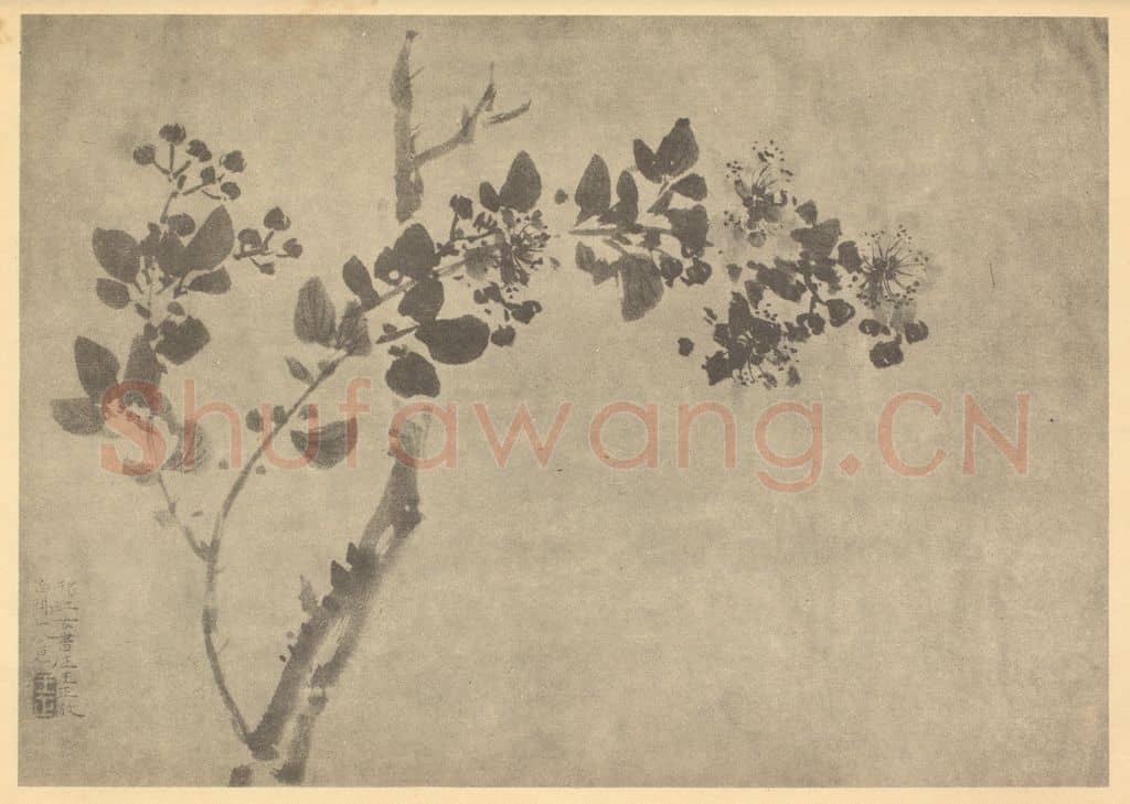清 王正《紫薇》国画作品