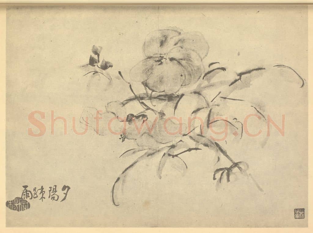 清 李鳝《秋葵》国画作品