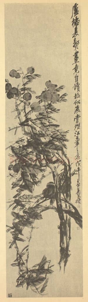 清 吴昌硕《枇杷》国画作品