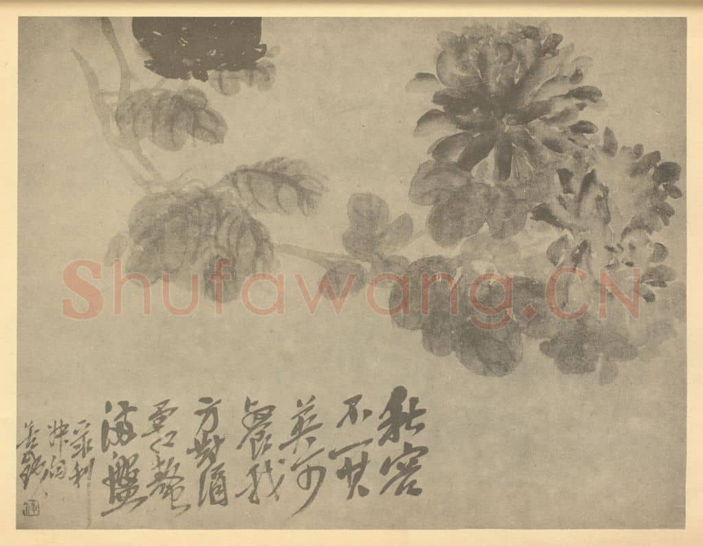 清 吴昌硕《菊》国画作品