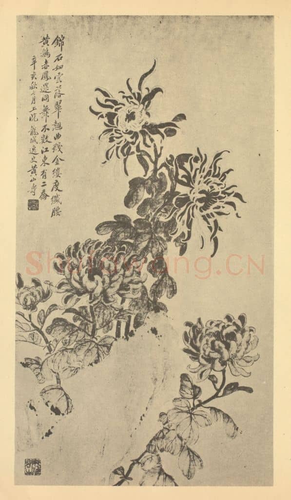 清 黄山寿《菊石》国画作品