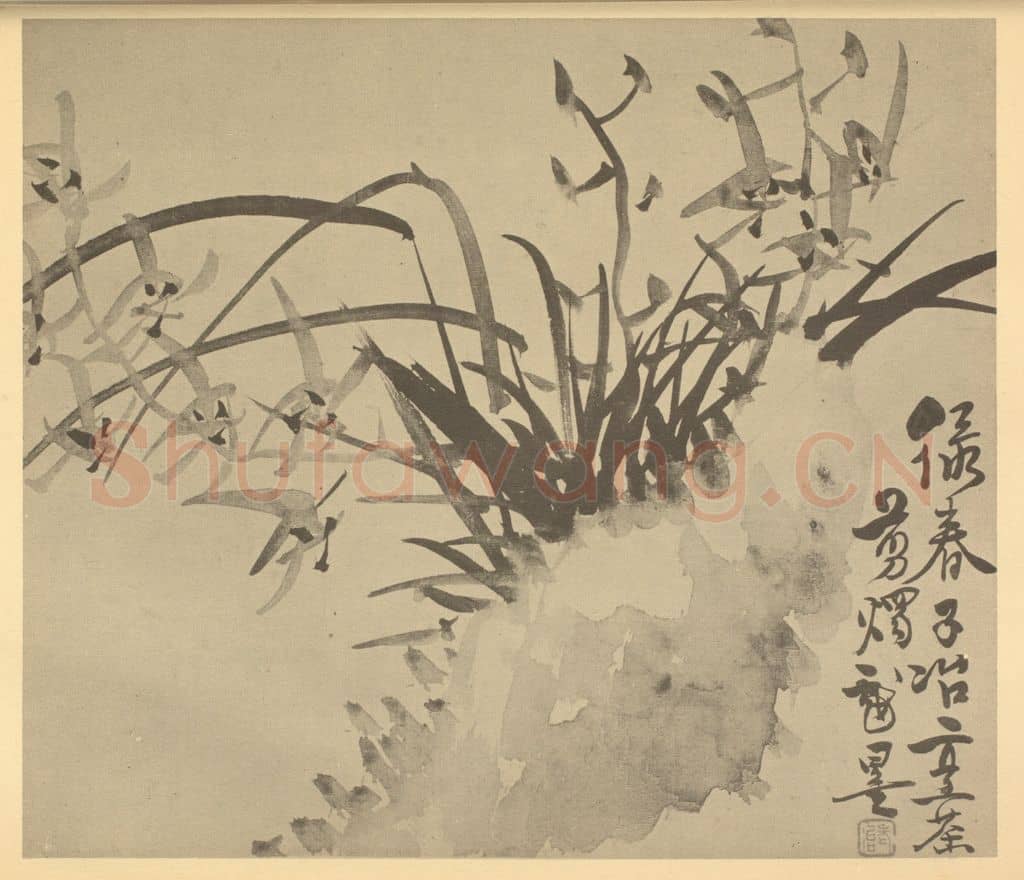 清 瞿应绍《兰石》国画作品