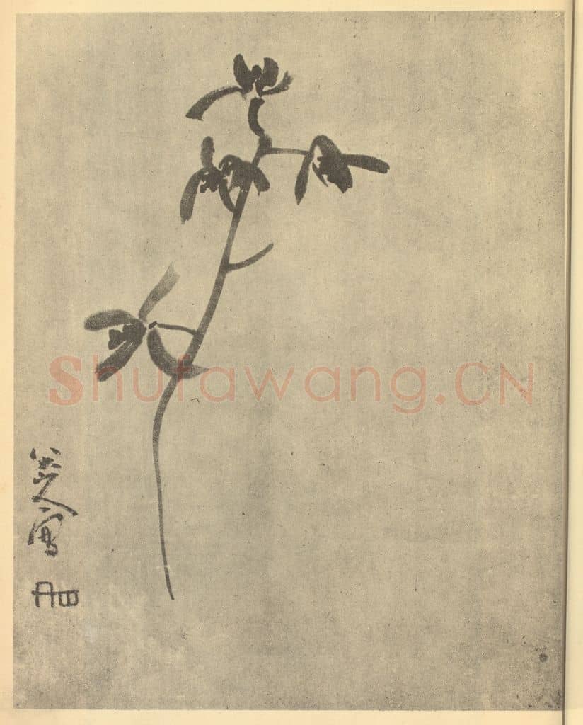 清 朱耷《兰》国画作品