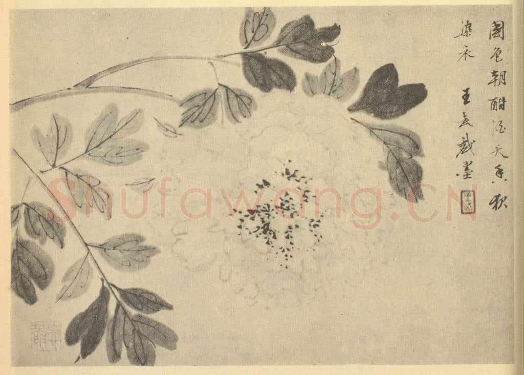 清 王武《牡丹》国画作品