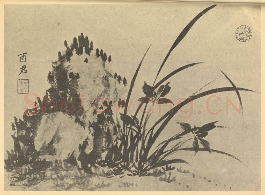 清 蒋廷锡《兰石》国画作品