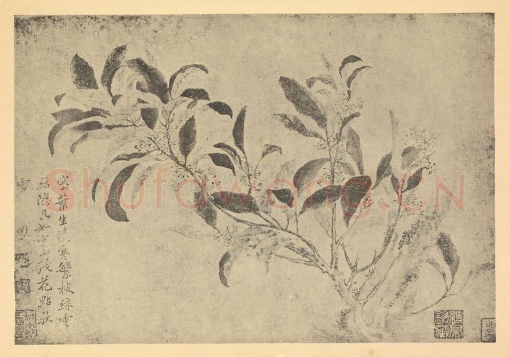 清 恽寿平《桂花》国画作品