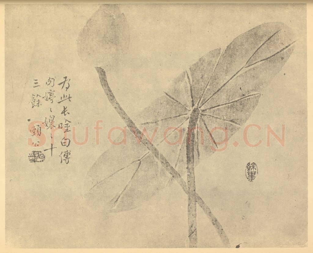 清 边寿民《菡萏图》国画作品