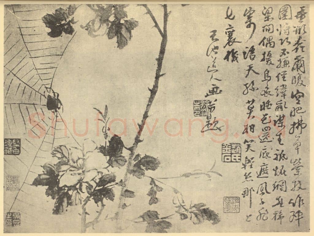 明 徐渭《蛛网图》国画作品