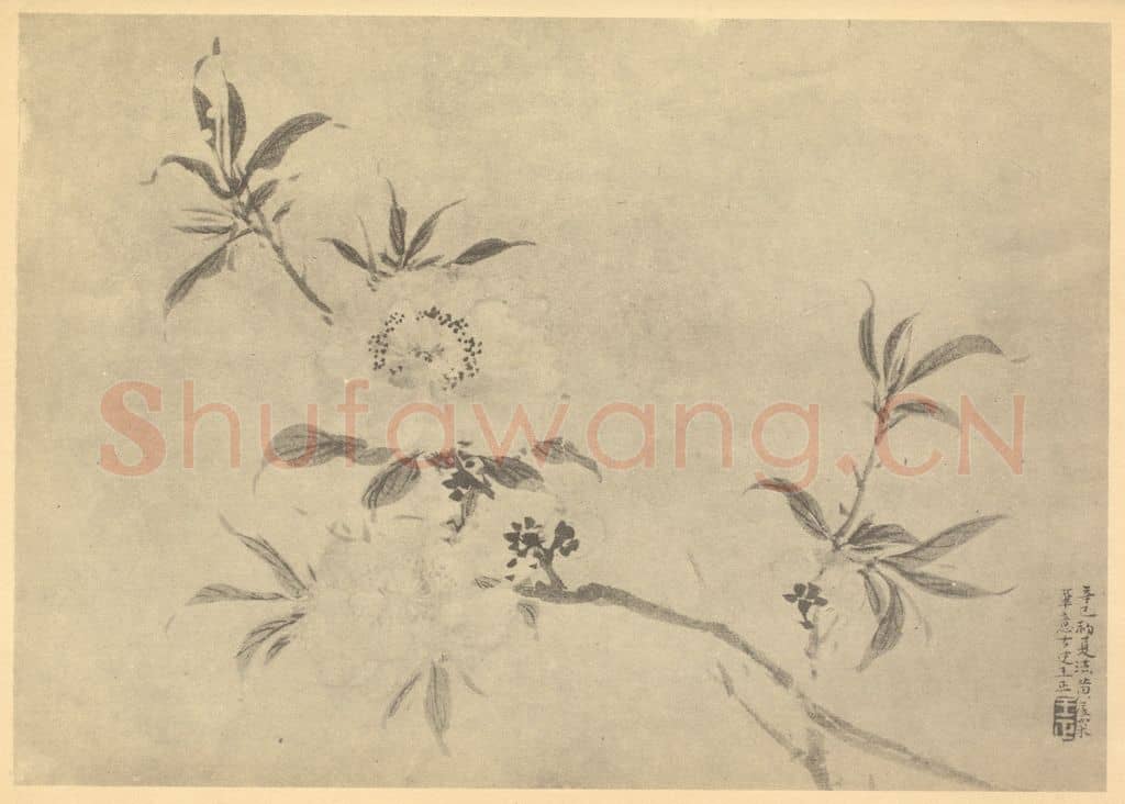 清 王正《桃花》国画作品