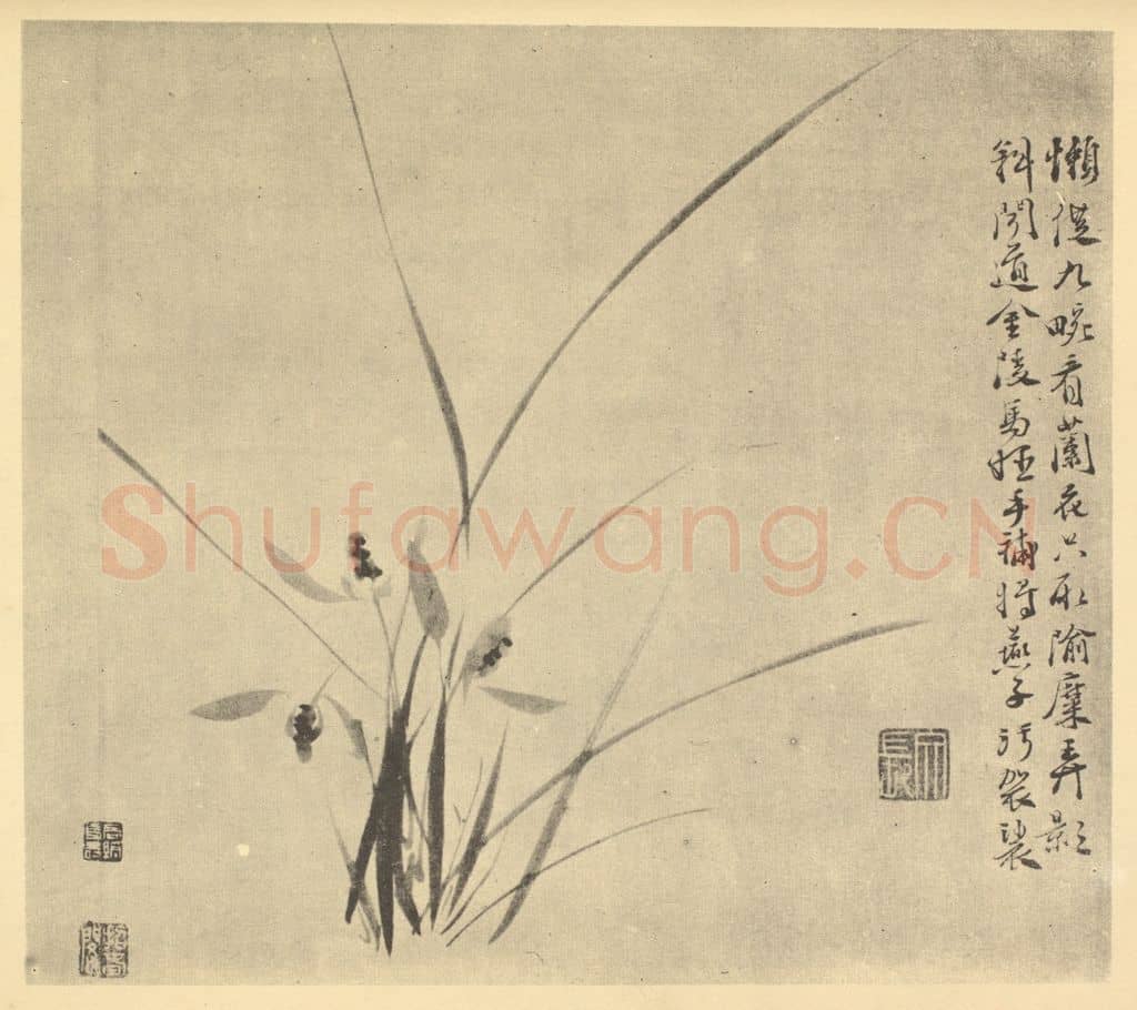 明 徐渭《兰》国画作品