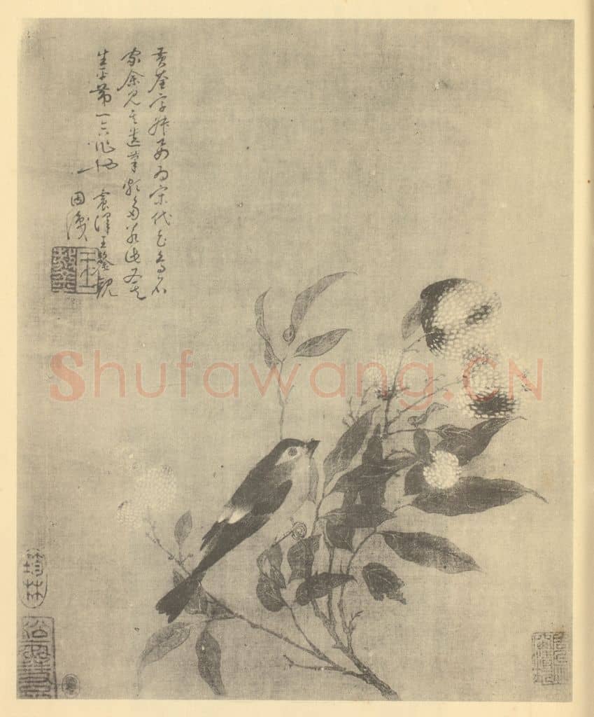 五代 黄筌《荔枝图》国画作品