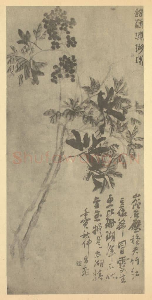 清 吴昌硕《南天竹》国画作品