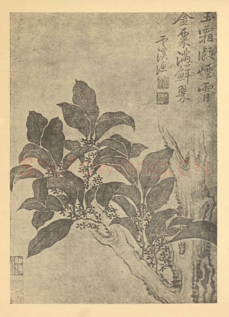 清 恽寿平《秋海棠》国画作品