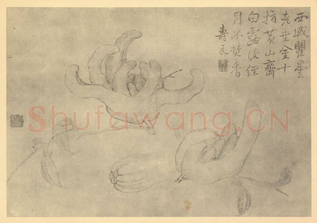 清 边寿民《佛手》国画作品
