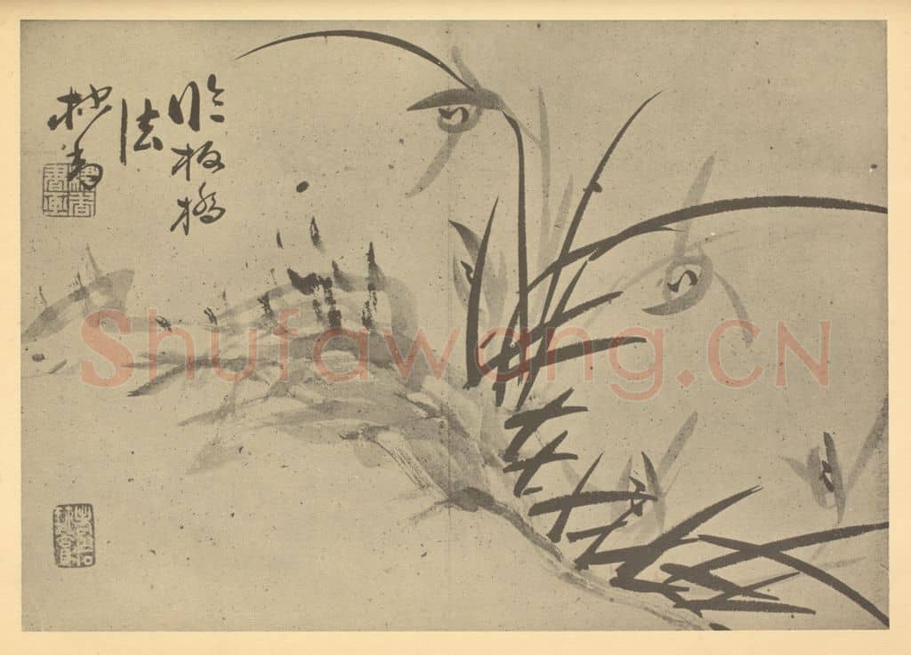 清 张焕棠《兰石》国画作品