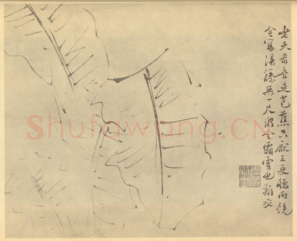 明 徐渭《芭蕉》国画作品