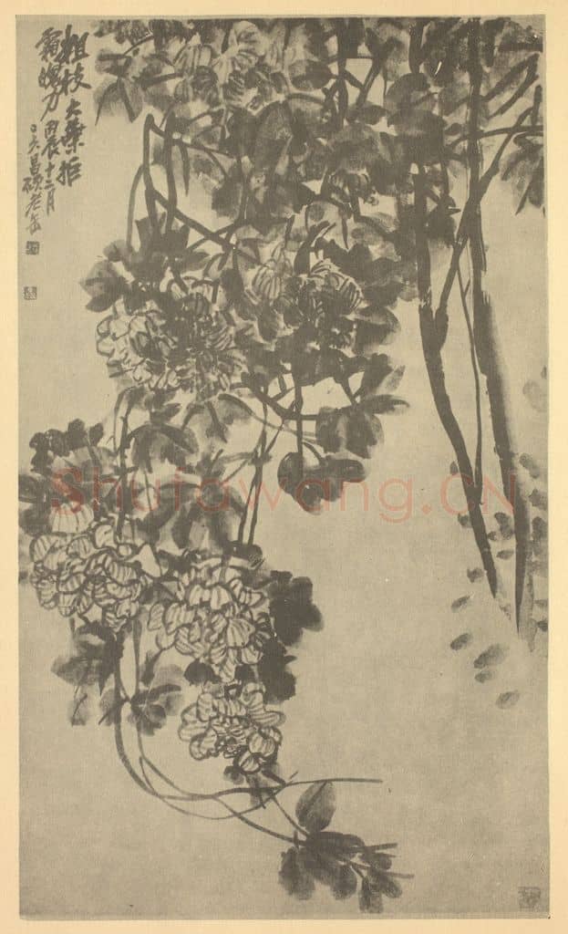 清 吴昌硕《芙蓉》国画作品