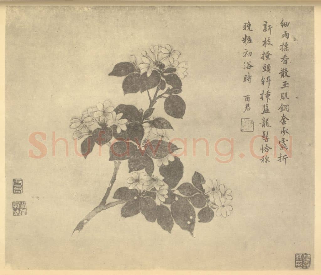 清 蒋廷锡《茉莉》国画作品