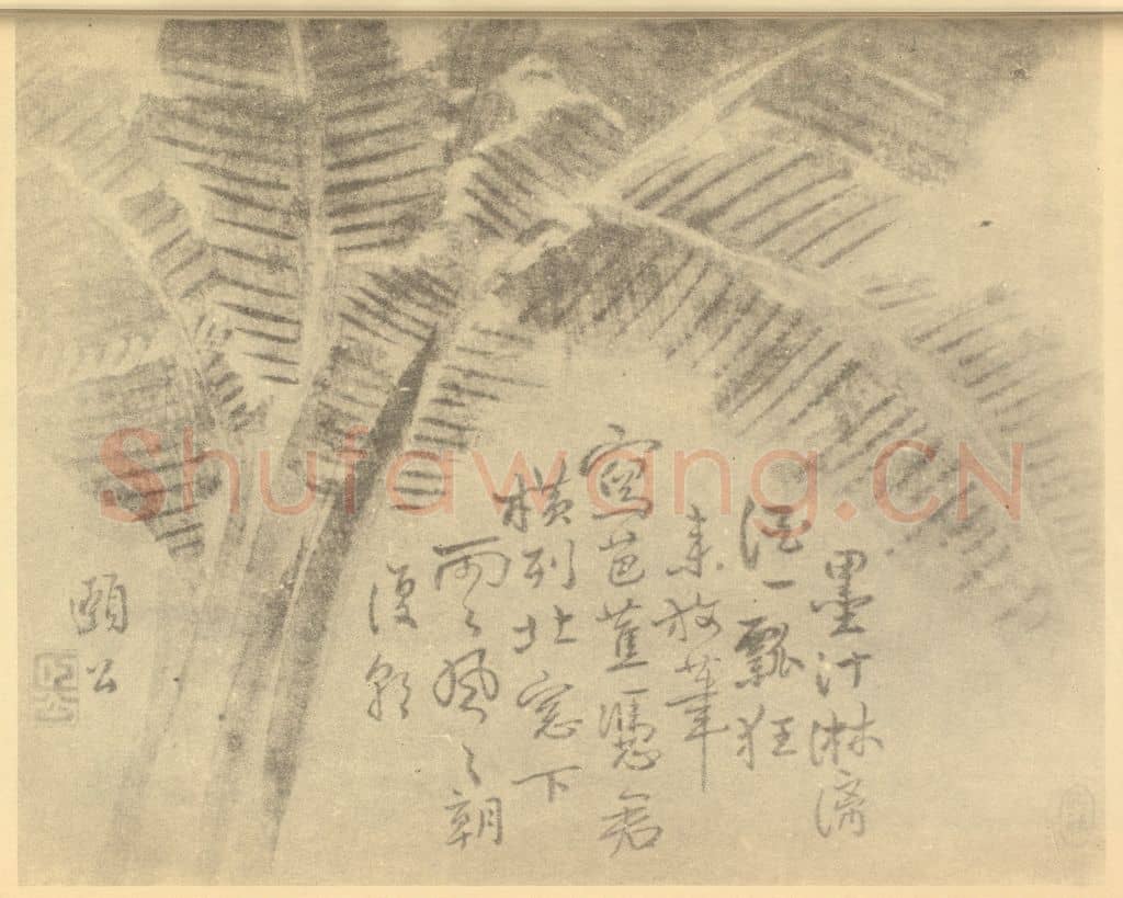 清 边寿民《芭蕉》国画作品