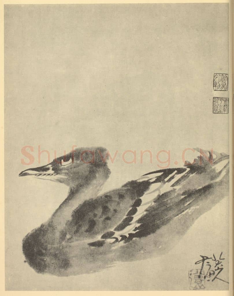 清 朱耷《画鳬》国画作品