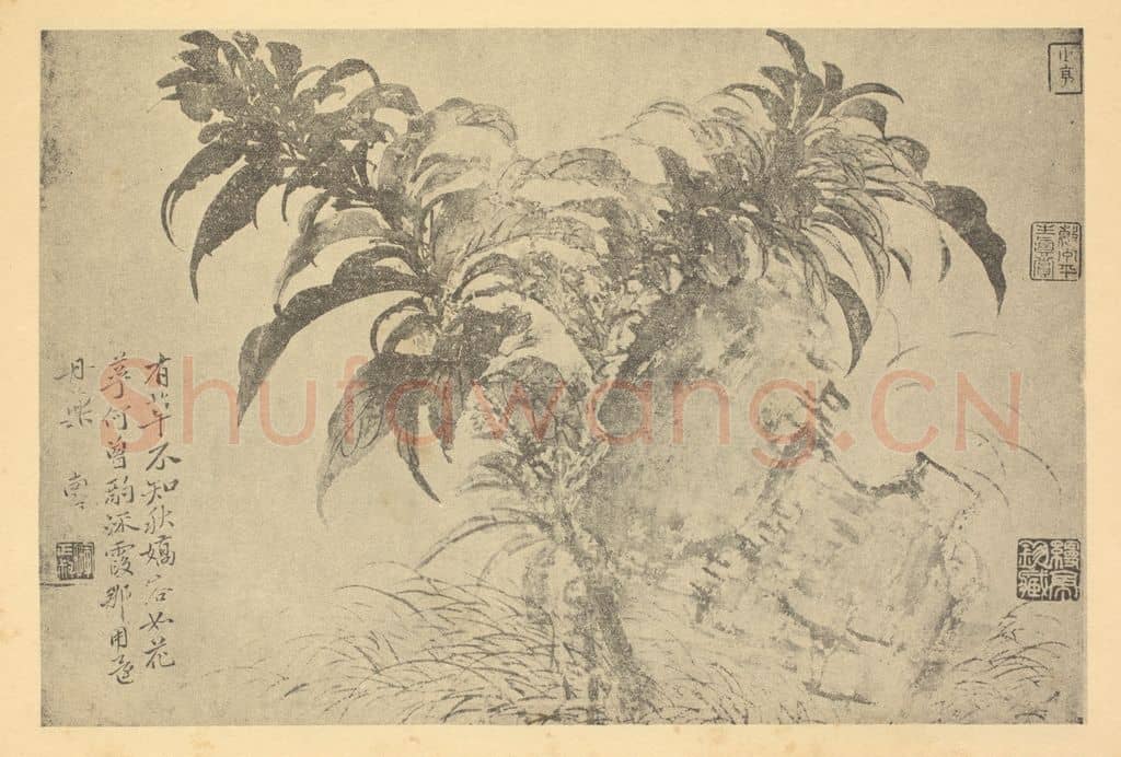 清 恽寿平《雁来红图》国画作品