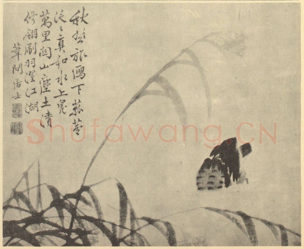 清 边寿民《芦雁图(六)》国画作品