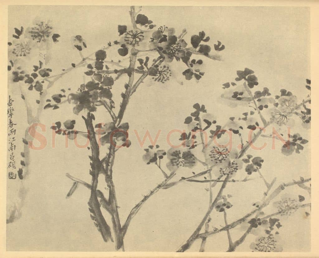 清 吴昌硕《杏花》国画作品