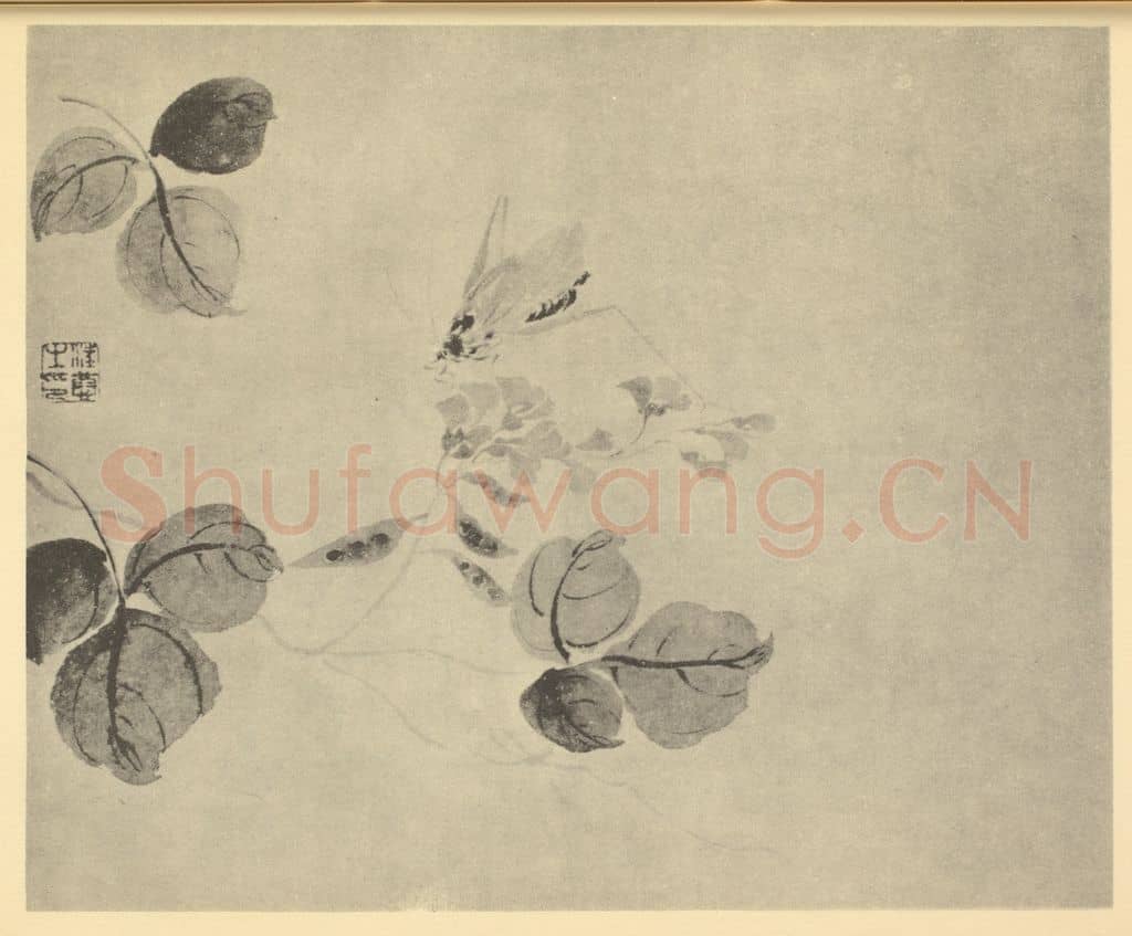 清 汪恭《荳花䘀斯图》国画作品