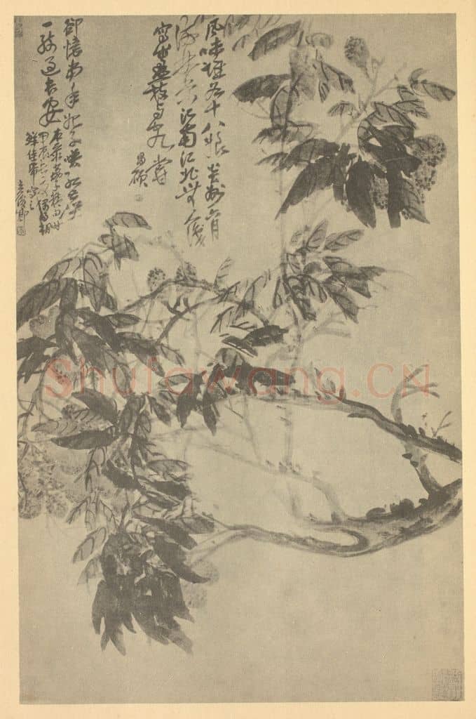 清 吴昌硕《荔枝》国画作品