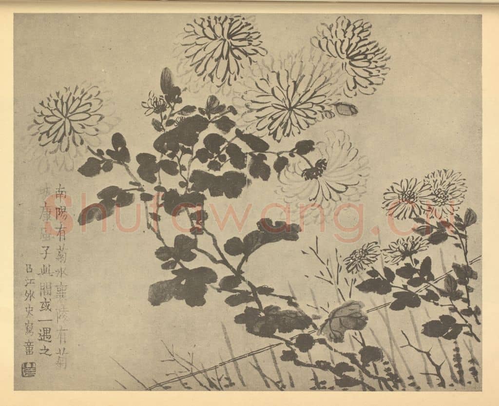 清 金农《篱菊》国画作品