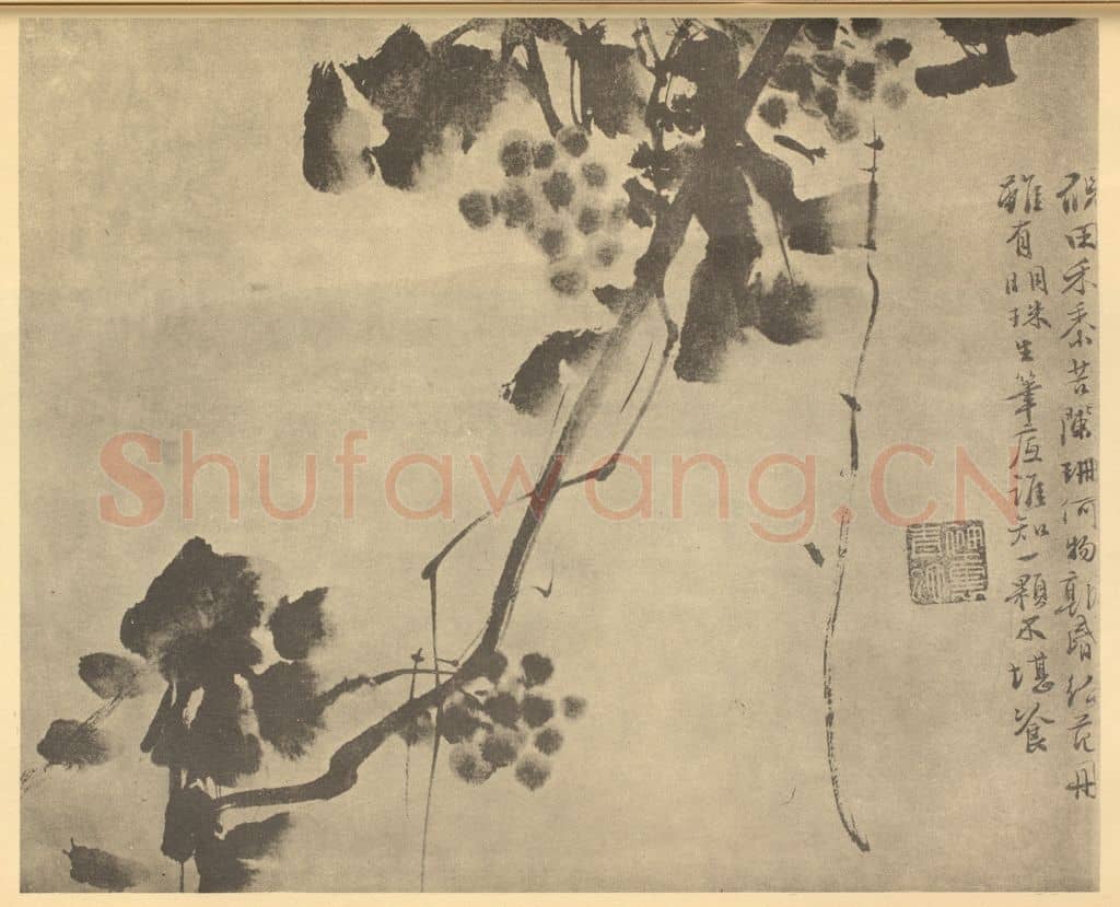 明 徐渭《葡萄》国画作品