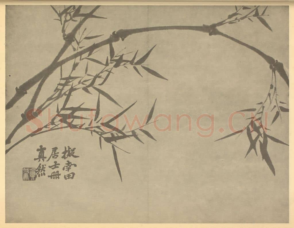 清 释真然《竹》国画作品